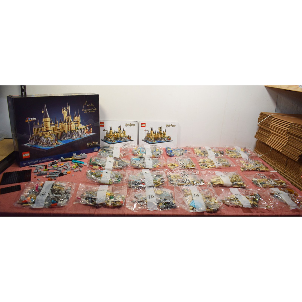 LEGO Harry Potter Hogwarts Castle and Grounds 76419 (Parts)